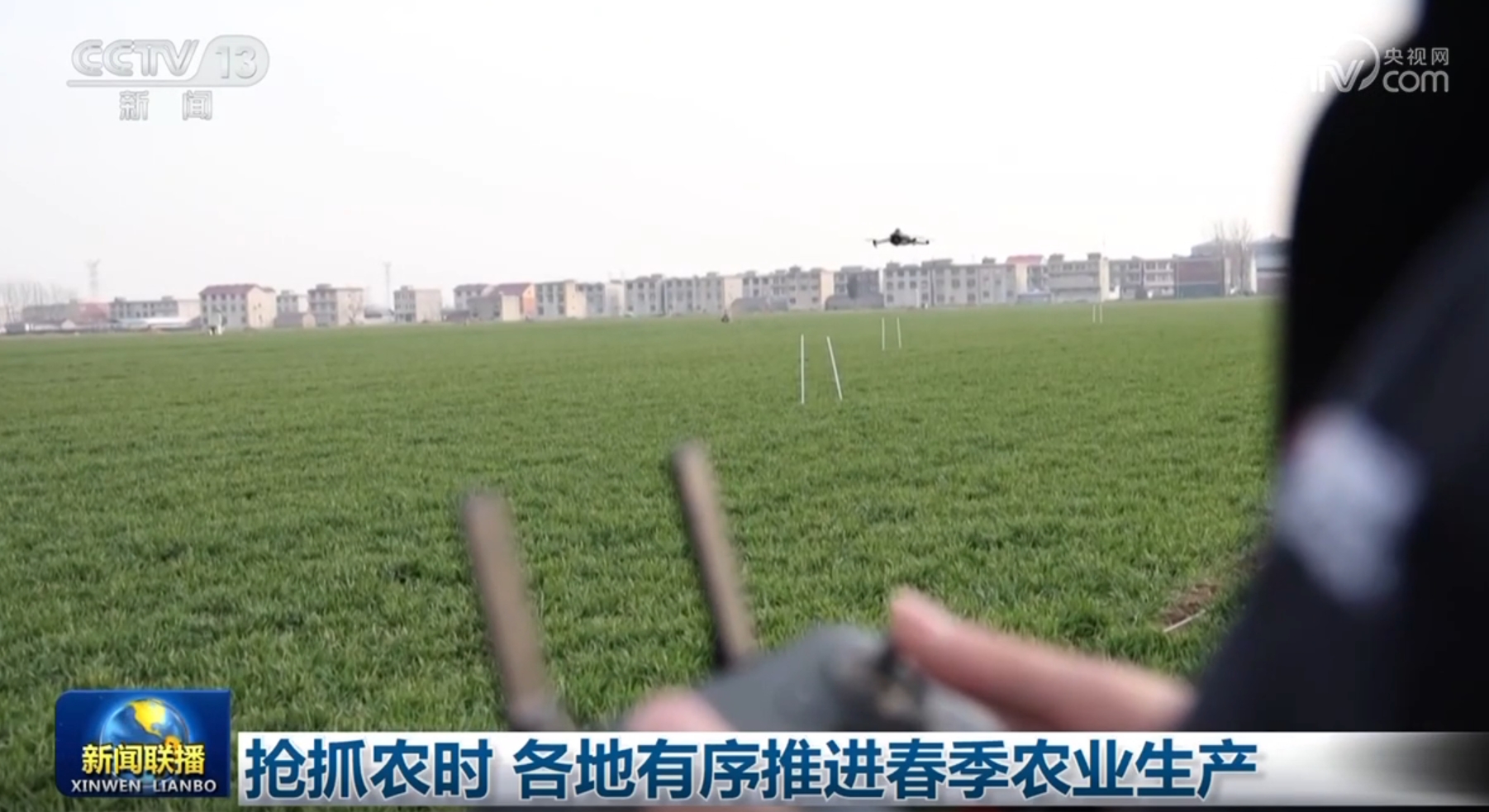 泰臣的情况